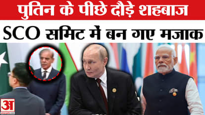 pakistan pm Shehbaz Sharif trolled on social media during sco summit 2025