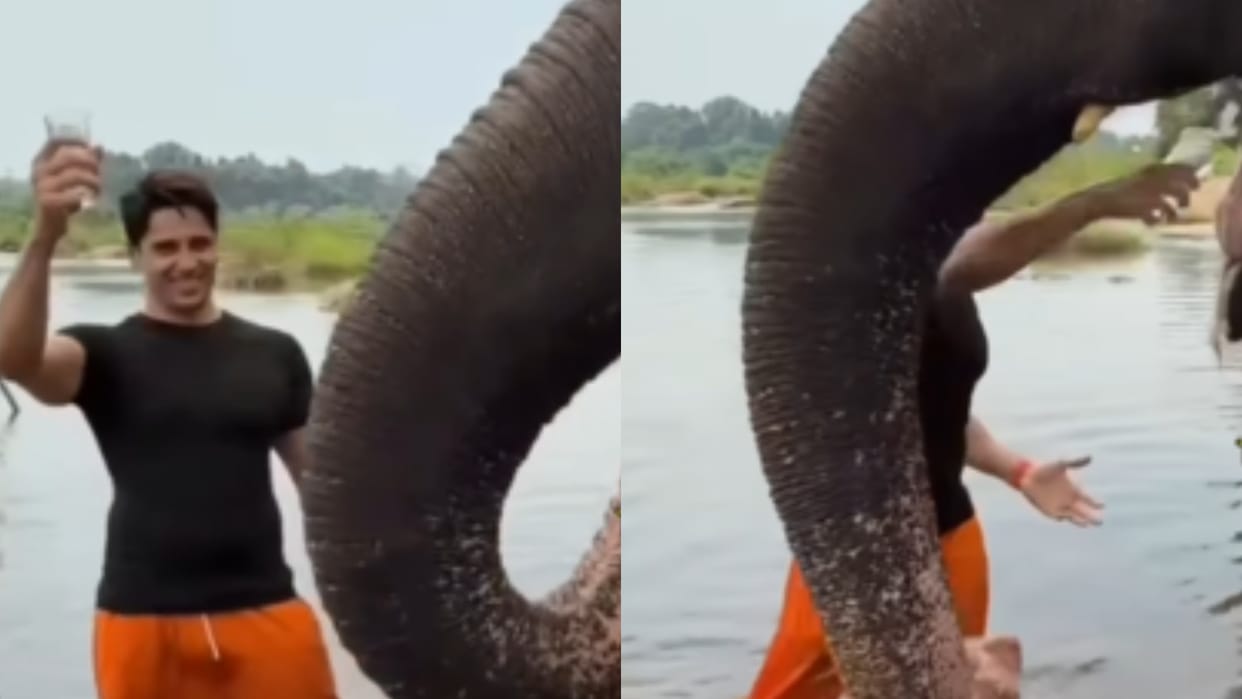 sidharth malhotra elephant water video viral controversy Actor gets trolled for this reason