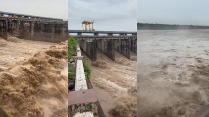 Heavy rain in mountains Yamuna in spate three lakh 11 thousand 332 cusecs of water at Hathinikund Barrage
