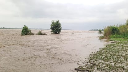 Shamli: Thousands of bighas of crops submerged in Yamuna, Kairana and Chausana above the danger mark