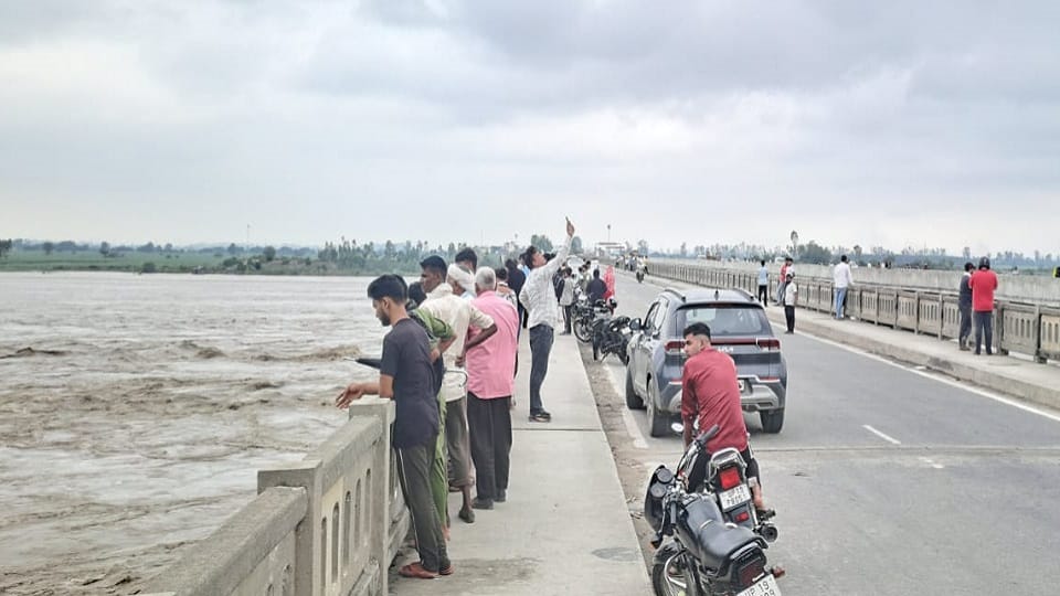 Shamli: Thousands of bighas of crops submerged in Yamuna, Kairana and Chausana above the danger mark