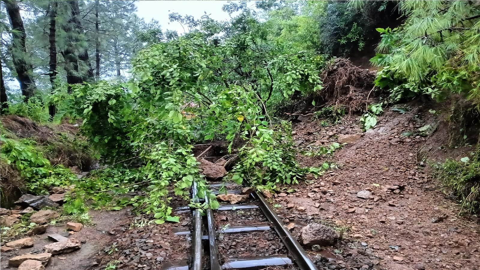 Heavy Rain Havoc in Haryana and Himachal Landslide on Shimla-Kalka Track