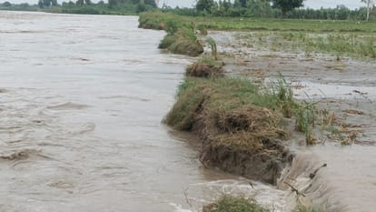 Shamli: Thousands of bighas of crops submerged in Yamuna, Kairana and Chausana above the danger mark