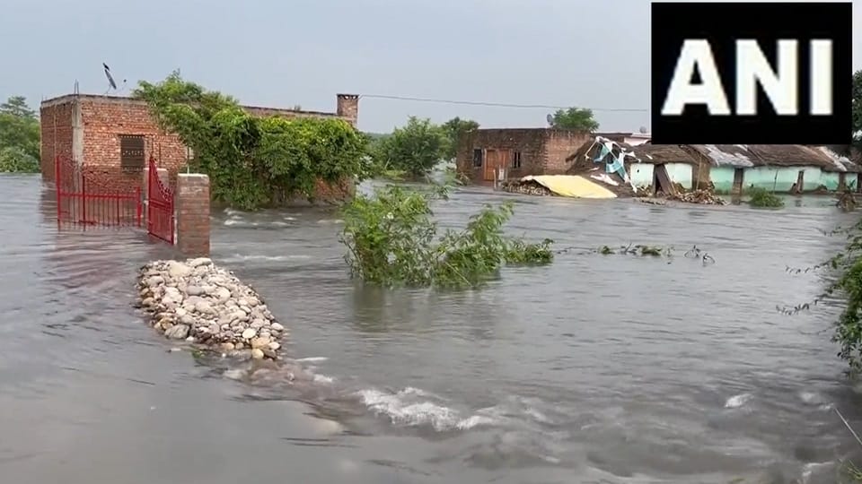 Rescue operation in Punjab flood 2025