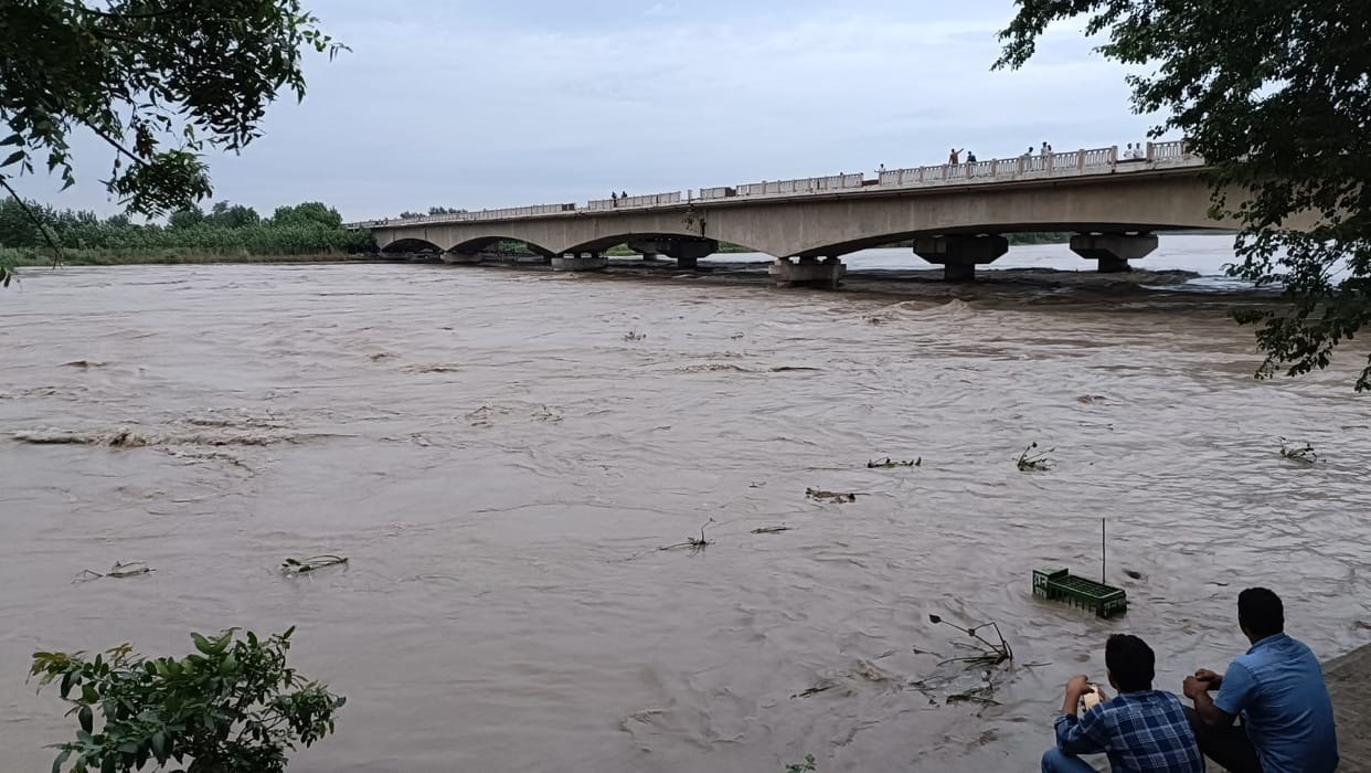Rain havoc in Haryana Drains broken, thousands of acres of crops submerged Ghaggar river in spate