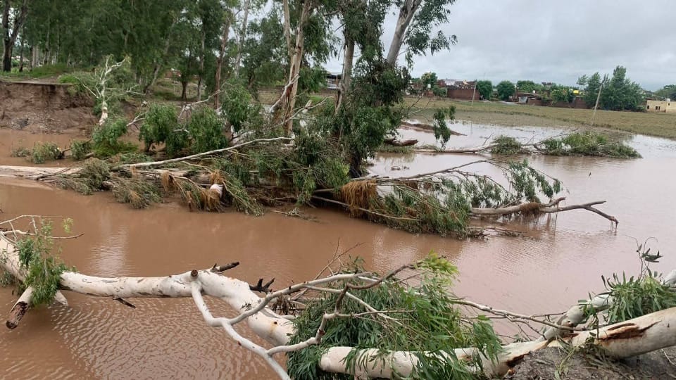 Punjab Flood Ground Report Mud Houses Destroyed, Months of Hard Work Wiped Out, Villagers Forced to Evacuate