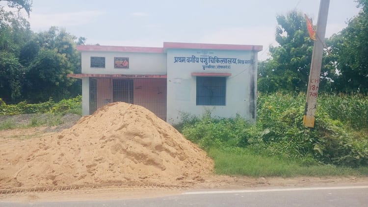 Bihar New: लंपी वायरस का बढ़ रहा खतरा, फुलवरिया में पशु चिकित्सालय से डॉक्टर नदारद; पशुपालकों में गुस्सा