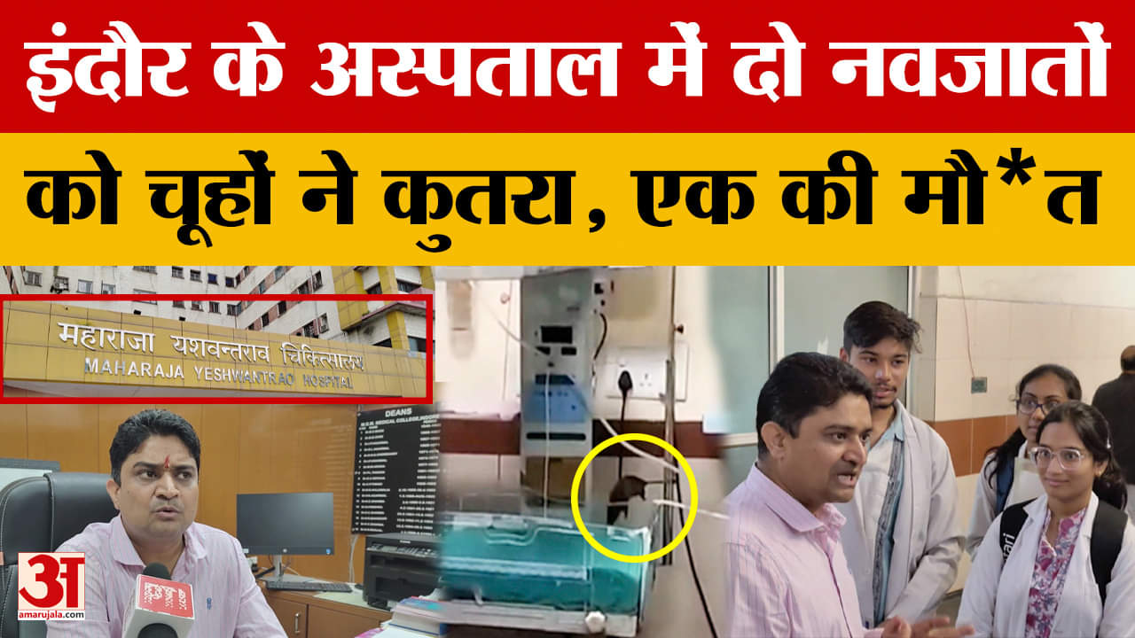 चूहों के कुतरने से एक नवजात की मौ*त! दो नर्सिंग अफसरों पर गिरी गाज, MYH में मचा हड़कंप