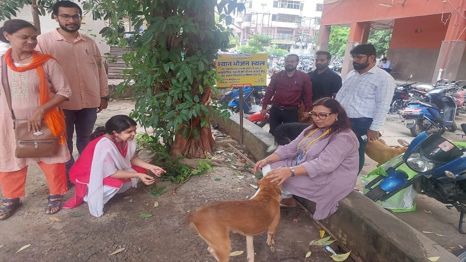 agra first dog feeding point supreme court order