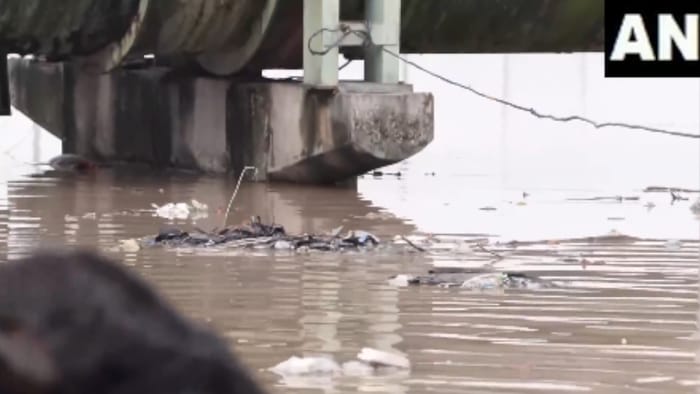Delhi Issues Flood Alert As Yamuna Water Reaches Danger Level Enters Nigam Bodh Ghat and Old Usmanpur