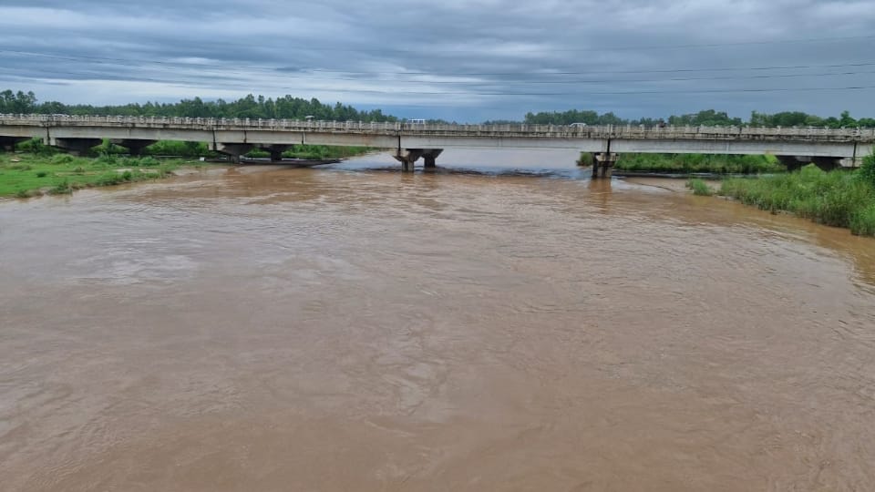 Haryana Floods 2025 Many Villages Affected, Highways Closed Amid Heavy Rain Alert
