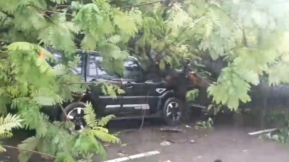 Accident in Panchkula Tree fell on Scorpio full of school children