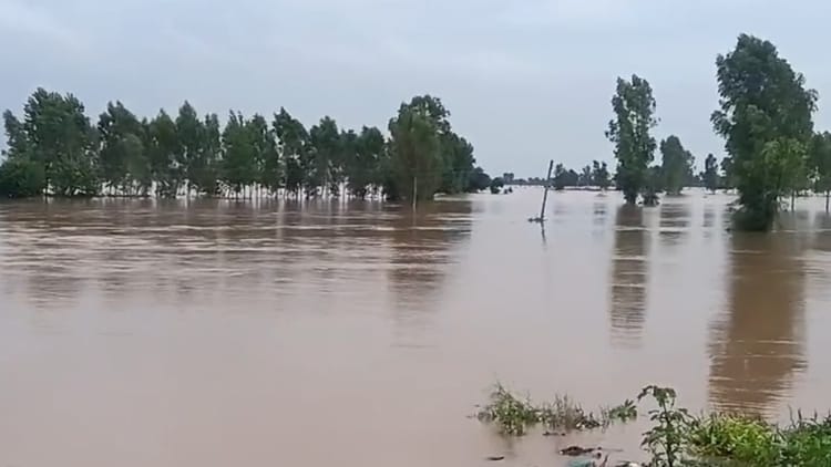 Bhakra Dam Water Level Is 1679 Feet One Foot Below Danger Mark Bbmb Opened All Four Flood Gates – Amar Ujala Hindi News Live