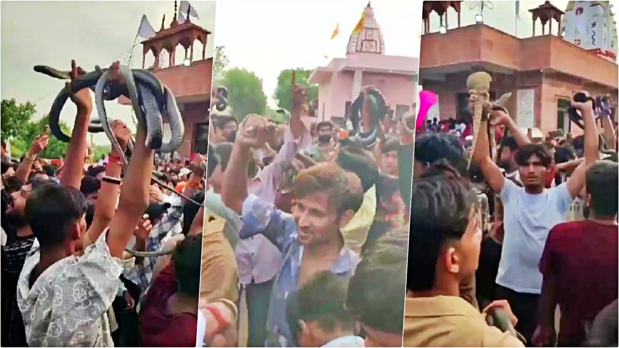 Rajasthan News: Devotees Stun Crowd at Goga Fair in Churu with Daring Snake Feats