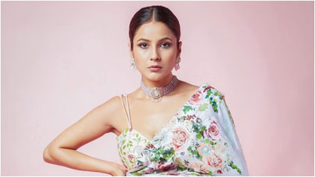Shehnaaz Gill postpnes film Ikk Kudi Release Due To Severe Floods In Punjab