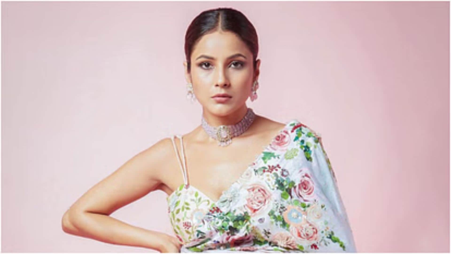 Shehnaaz Gill sharp reply on therapy sparks debate says People who show me attitude need it