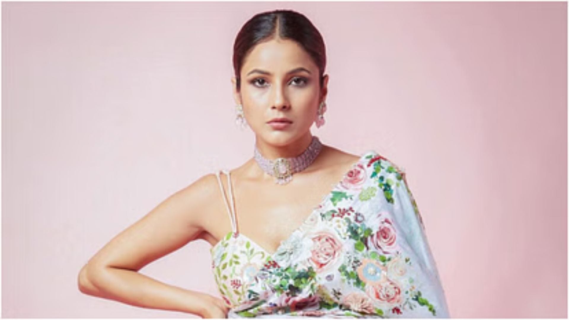 Shehnaaz Gill sharp reply on therapy sparks debate says People who show me attitude need it