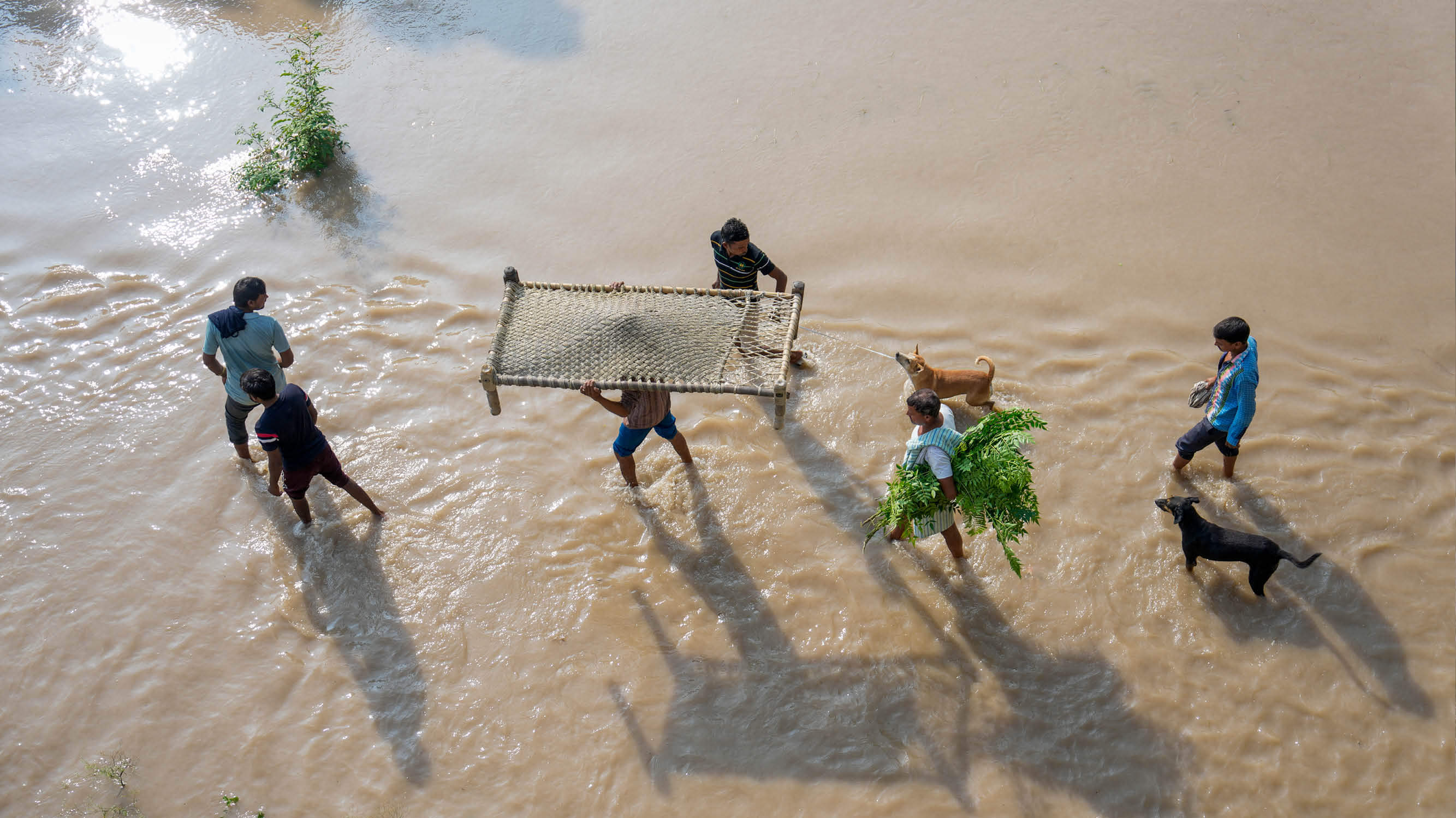 What is La Nina weather Know about the phenomenon that will affect winters in India