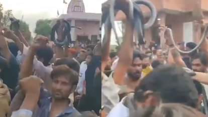 सांप को खिलौने की तरह लेकर डांस कर रहे लोग, सोशल मीडिया पर वायरल हुआ वीडियो
