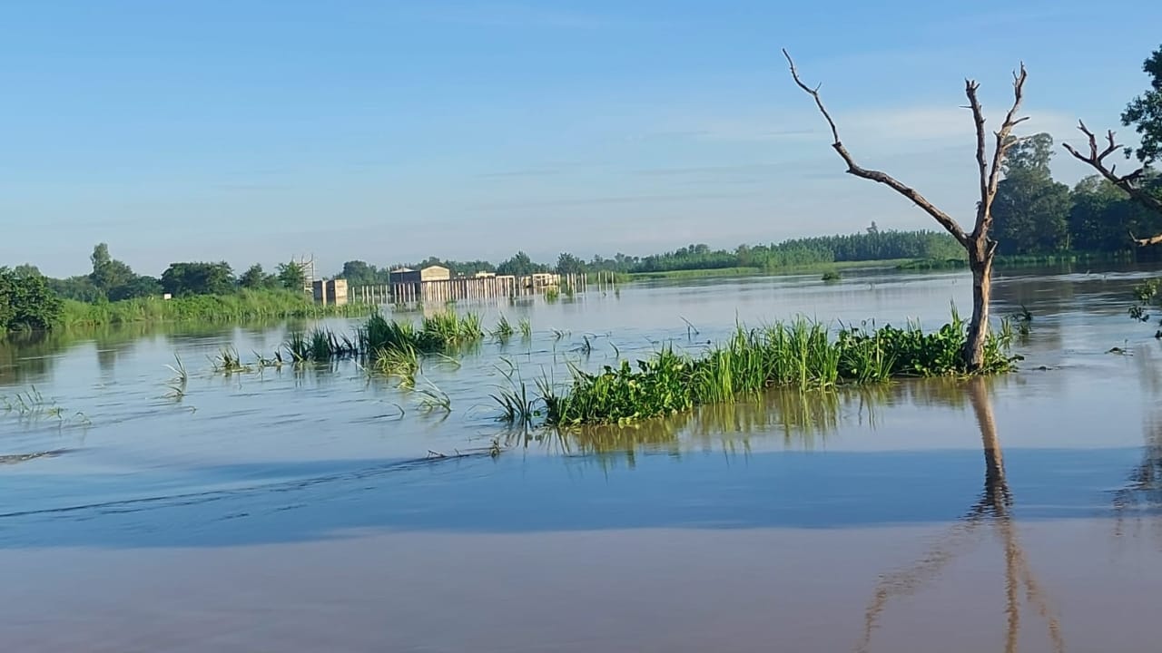 Nine-year-old boy died due to drowning in flood water power substation submerged in Bisalpur