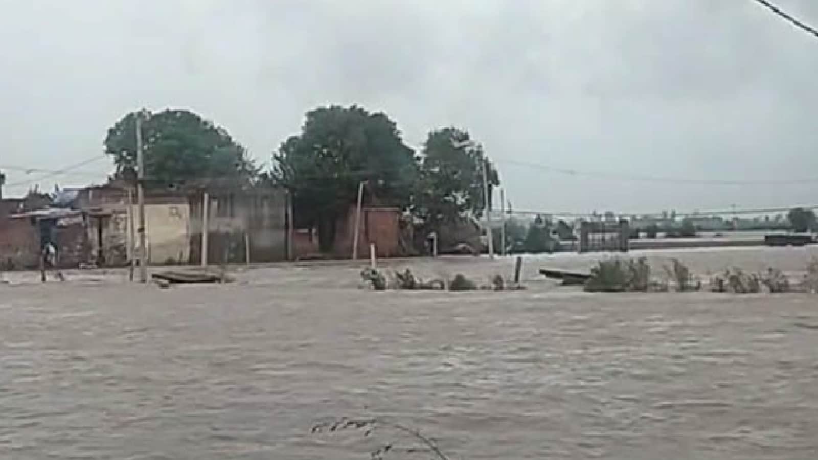Haryana Floods Heavy Rain Wreaks Havoc in Ambala Bhuna Houses Submerged Embankment Breaks in Ladwa