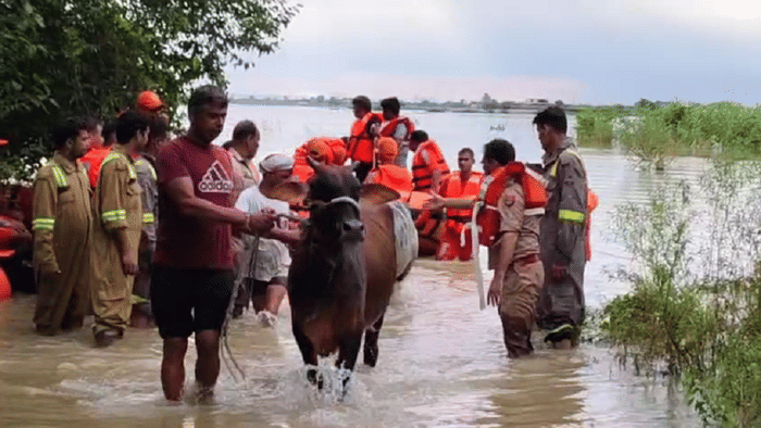 Water level of Yamuna and Hind increased 43 villages affected crops destroyed in 25 villages