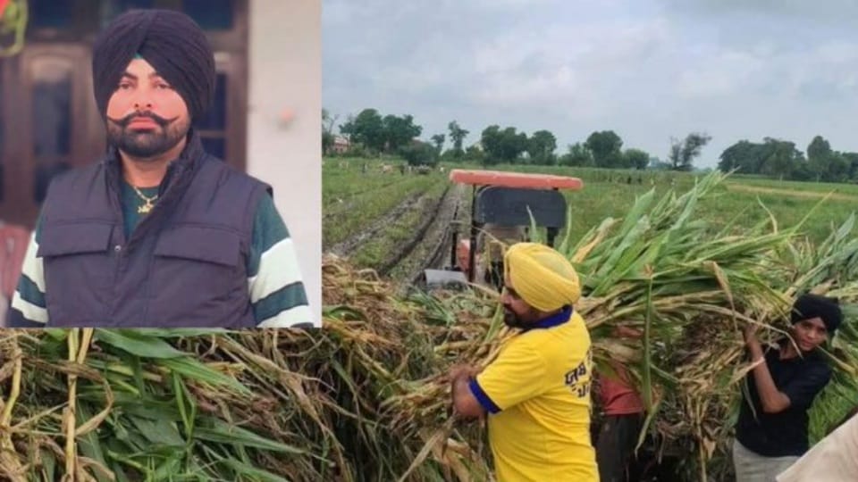 AAP leader Navneet Singh Neetu dies in road accident Arvind Kejriwal expresses grief