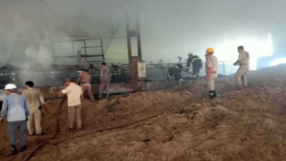 Fire at Triveni Sugar Mill Cogeneration Plant in Deoband, Loss Estimated in Lakhs