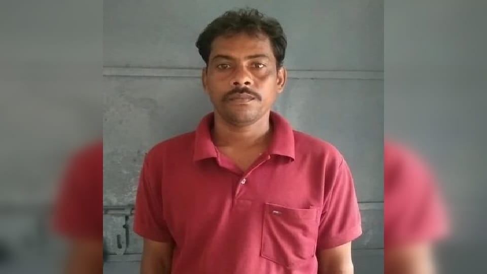 पुलिस की गिरफ्त में आरोपी