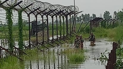 Punjab Floods Update: 1400 Villages Submerged, 4.5 Lakh People Affected, 37 Dead, IMD Rain Alert