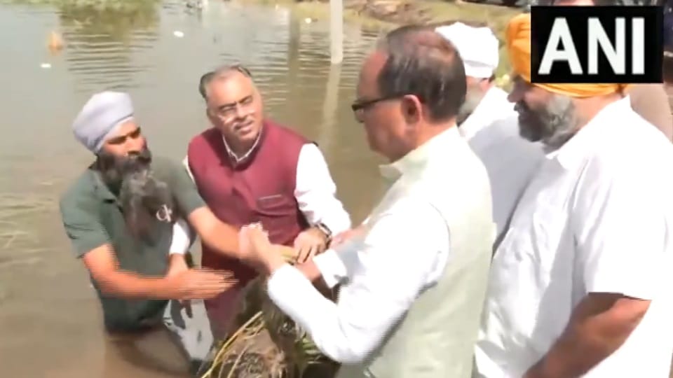 Flood in Punjab All rivers are in spate Agriculture Minister Shivraj Chauhan visit today