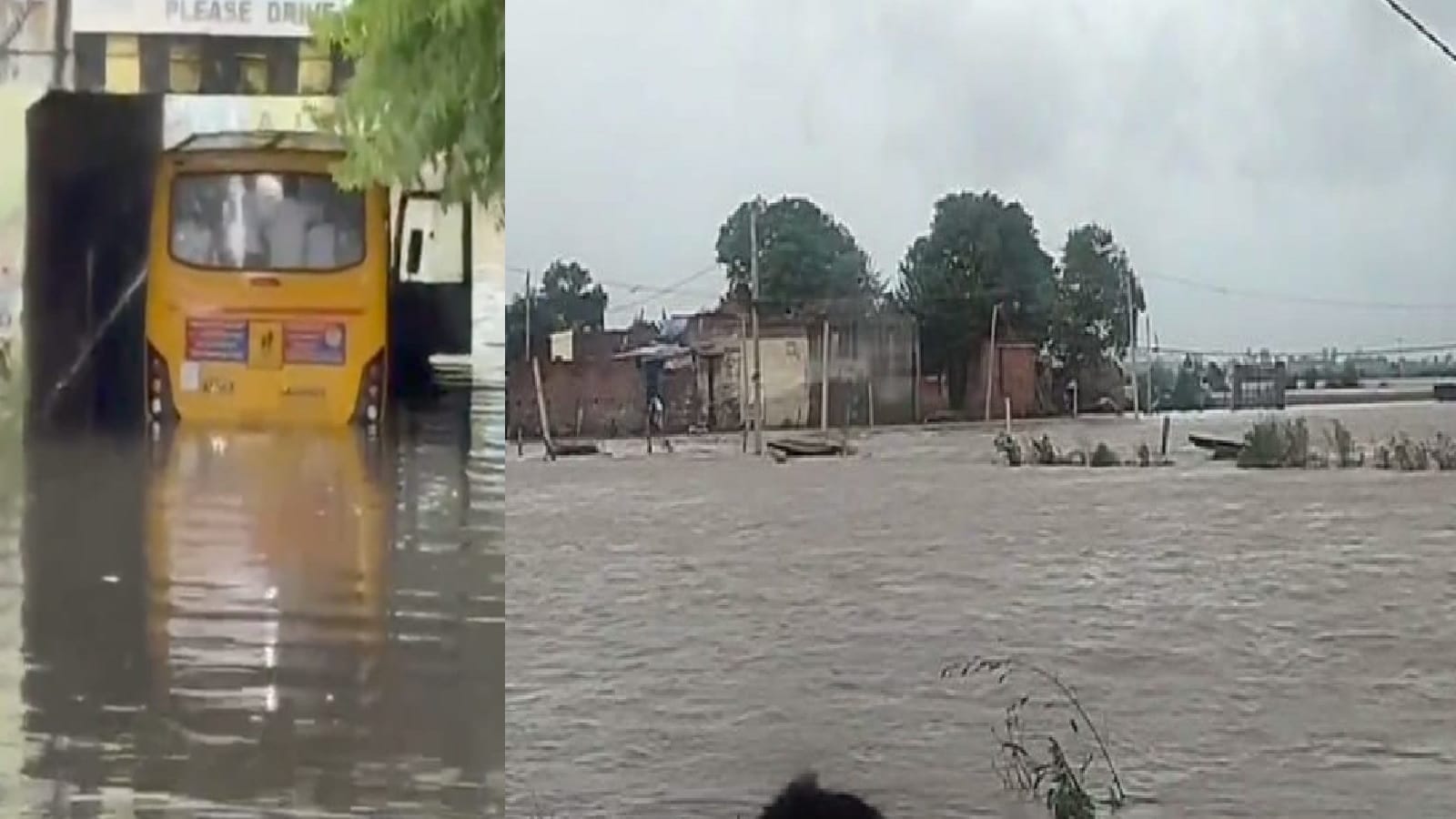 Haryana Floods Heavy Rain Wreaks Havoc in Ambala Bhuna Houses Submerged Embankment Breaks in Ladwa