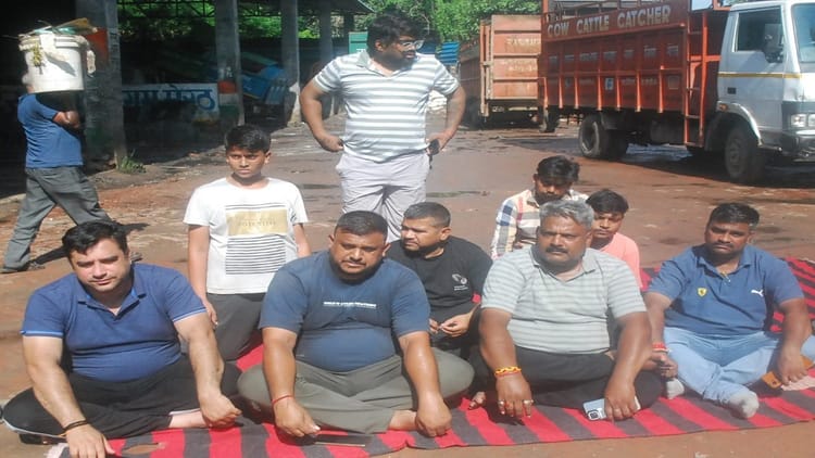 Meerut: Cows Picked Up From The Road Were Not Taken Out Of The Vehicle, Five Died In Agony – Amar Ujala Hindi News Live