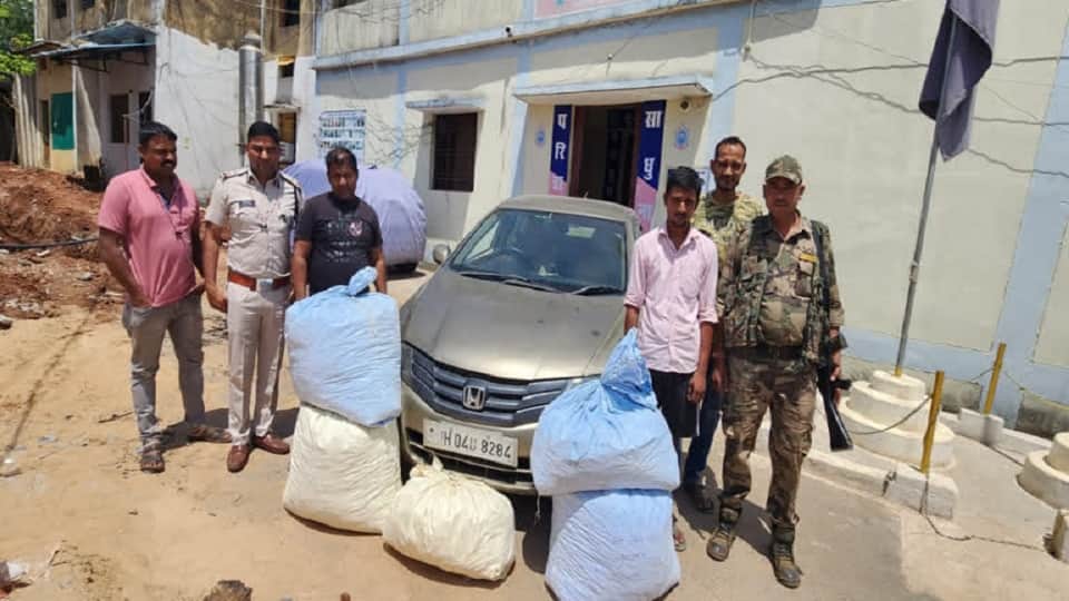 दो गांजा तस्करों को 12 साल की सजा