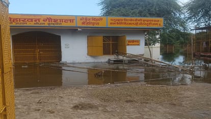 Flood in UP high alert in Mathura-Vrindavan due to rising water level of Yamuna