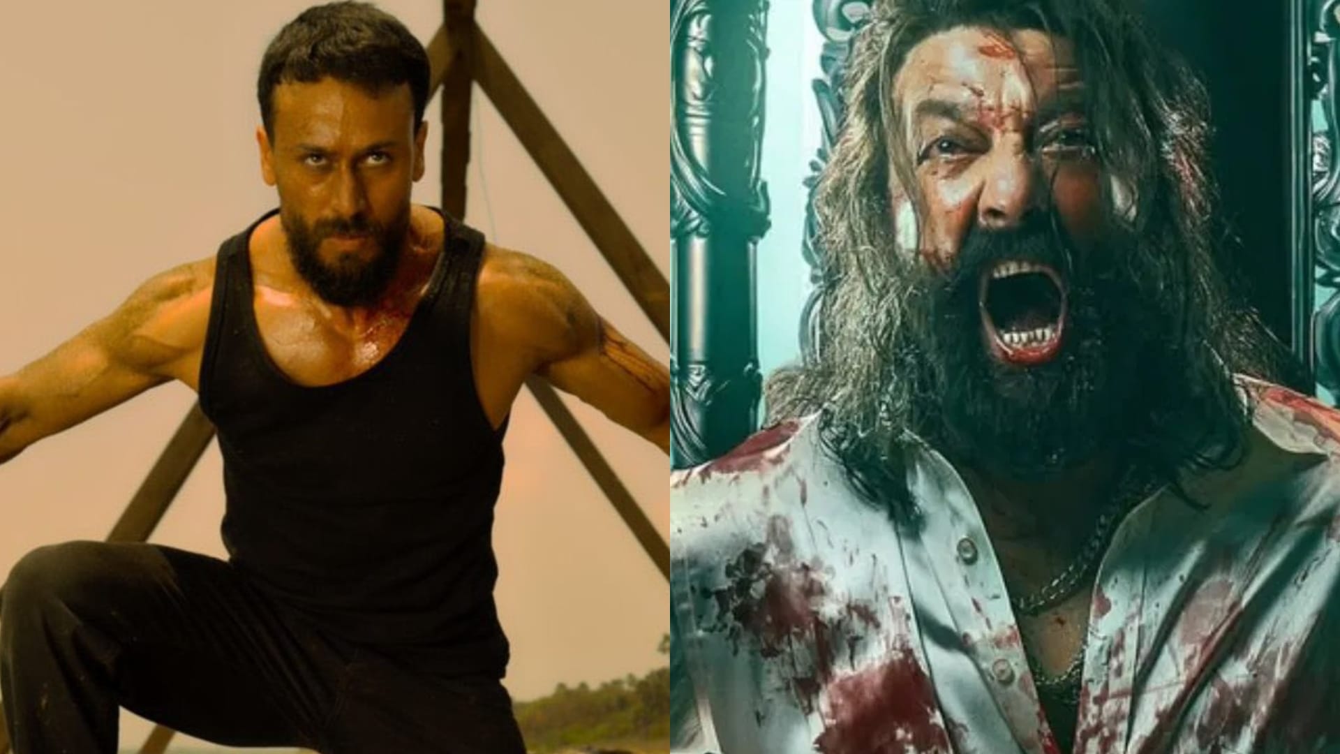 Baaghi 4 Box Office Collection Tiger Shroff film total earning