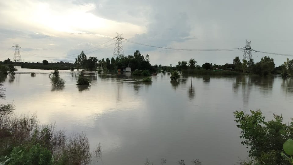 Flood in Tappal of Aligarh
