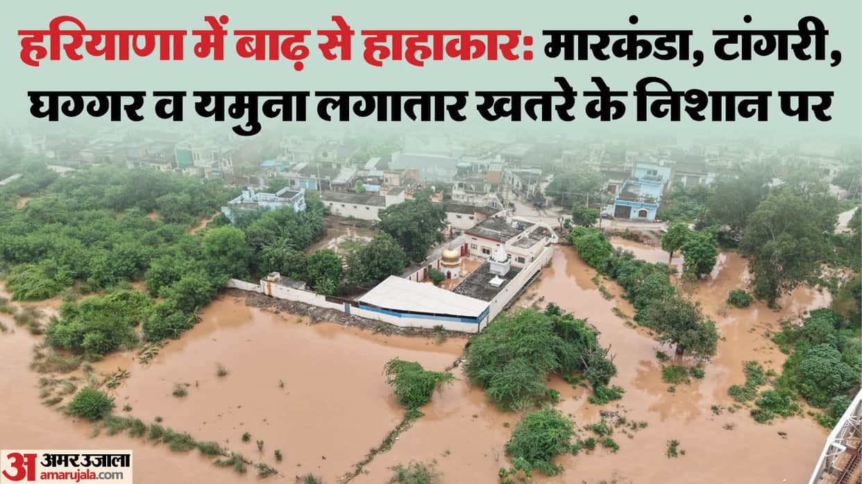 Haryana flood Update News Rain took five more lives Schools closed till September Six