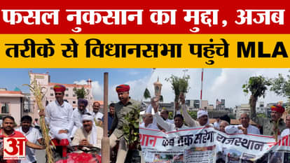 Jaipur: Crops damaged due to heavy rains, Congress MLA reached the assembly in a strange manner to raise the i