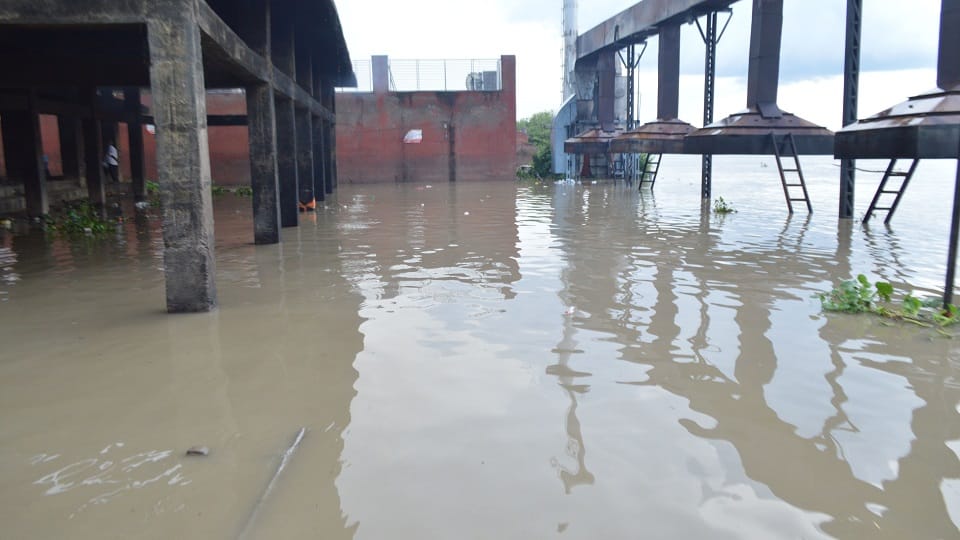 flood in up yamuna water level raised and touch of taj mahal boundary in agra