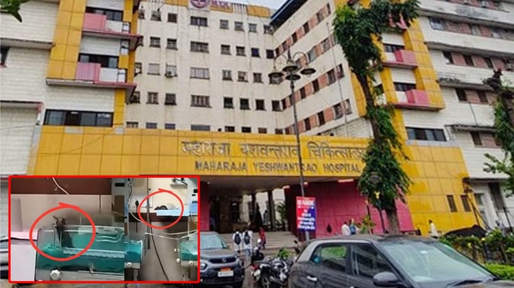 MY Hospital: 20 लाख में भगा पाए महज 150 चूहे; प्रबंधन के पास बहाने, नवजातों का हत्यारा कौन? चूहाकांड की कहानी