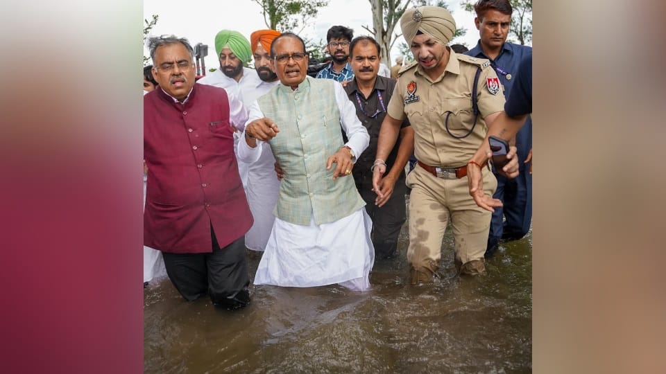 Massive destruction in Punjab Flood Mountains collapsed in Pathankot Army took charge in Ludhiana 43 died