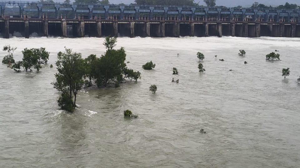 Massive destruction in Punjab Flood Mountains collapsed in Pathankot Army took charge in Ludhiana 43 died