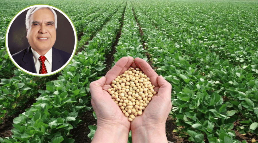 indore news soybean farming msp oil sopa india import