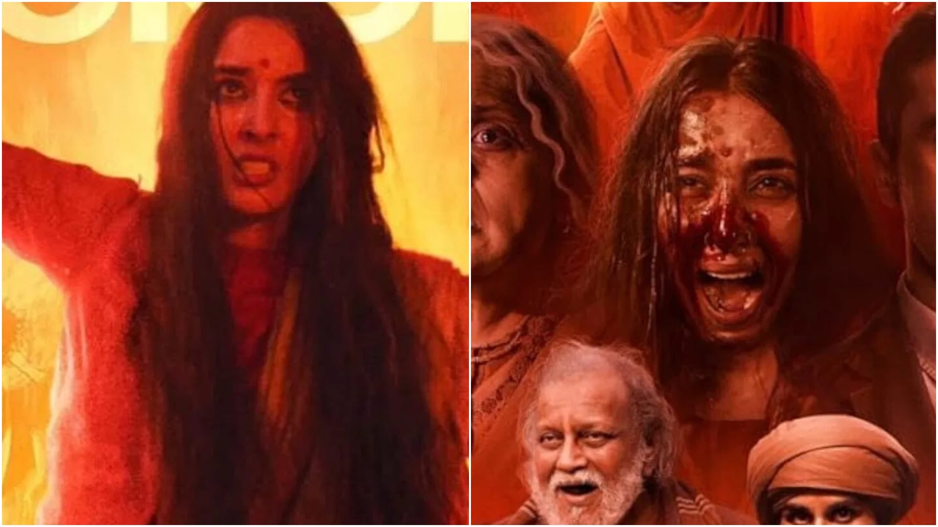 Baaghi 4 and The Bengal Files Box office Collection Know about other films