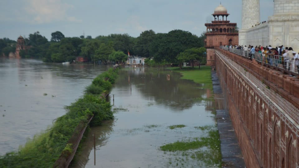 flood in up yamuna water level raised and touch of taj mahal boundary in agra