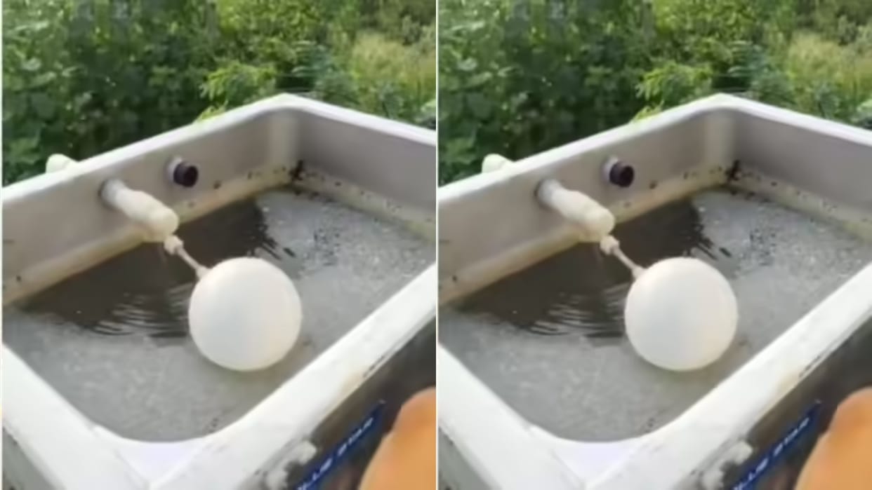 A man was stopping at a petrol pump to drink water he removed the lid of the water cooler saw a live lizard