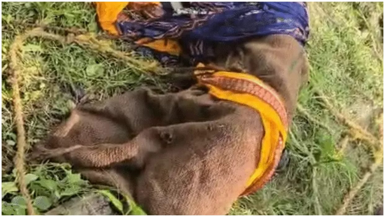 Moradabad: Young man body found wrapped in plastic wrap in forest, salt sprinkled body conceal identity