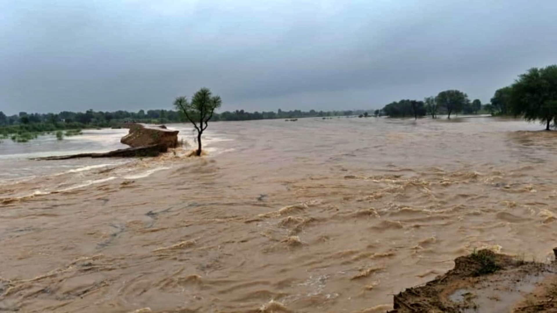 बाढ़ से किसानों की सैकड़ों बीघा फसल बर्बाद