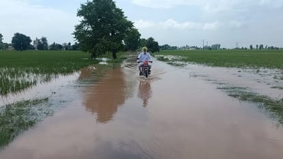 Haryana: सिरसा, फतेहाबाद और कैथल में घग्गर का रौद्र रूप...तटबंध टूटने से गांव जलमग्न, बहादुरगढ़ में सेना बुलाई Flood in Haryana Ghaggar is taking a terrible form in Sirsa, Fatehabad and Kaithal Water is filling in village